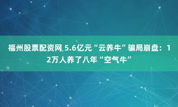 福州股票配资网 5.6亿元“云养牛”骗局崩盘：12万人养了八年“空气牛”